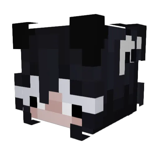 StormySpirit Minecraft avatar head, 3D render