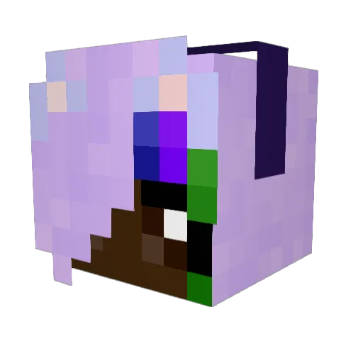 Stormyfish Minecraft avatar head, 3D render