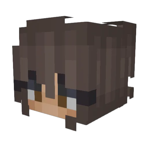Stormywings Minecraft avatar head, 3D render