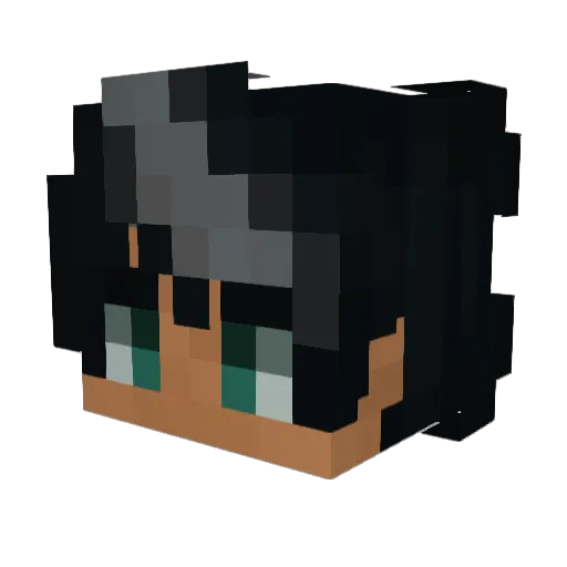 Stormyy_yy Minecraft avatar head, 3D render