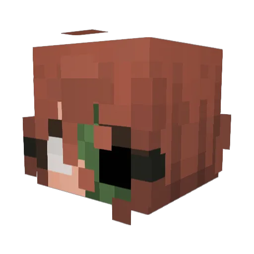 StoryRewrote Minecraft avatar head, 3D render