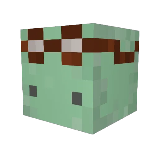 StoutishHat2062 Minecraft avatar head, 3D render
