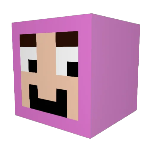 Stove4_ Minecraft avatar head, 3D render