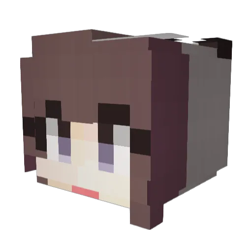 Stovery Minecraft avatar head, 3D render
