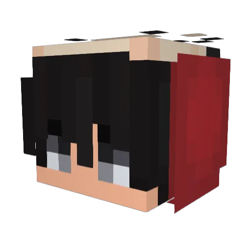 StoxiFlow Minecraft avatar head, 3D render