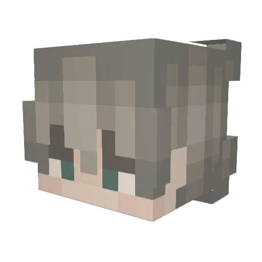 Stqckedd Minecraft avatar head, 3D render
