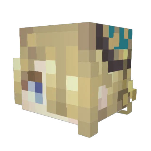 StqryNight_ Minecraft avatar head, 3D render