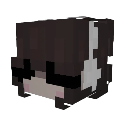 Str0olie Minecraft avatar head, 3D render