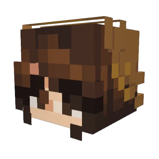Str33tL1ght Minecraft avatar head, 3D render