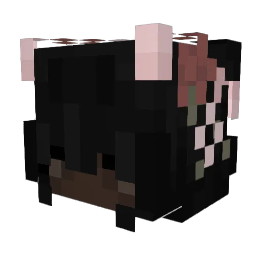 Str4wberry_972 Minecraft avatar head, 3D render