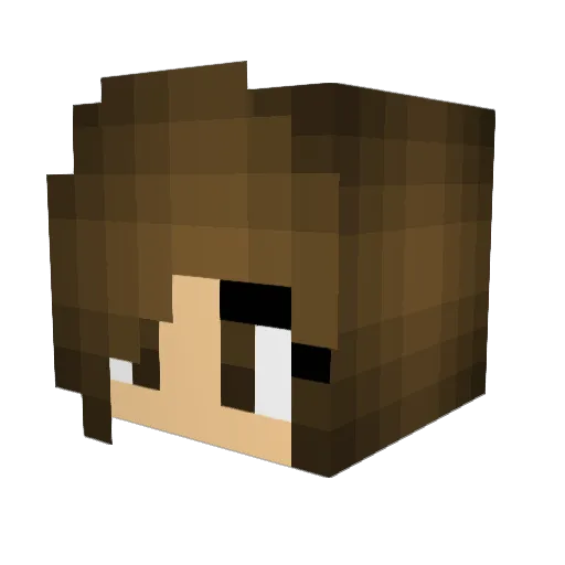 Str8cynical Minecraft avatar head, 3D render