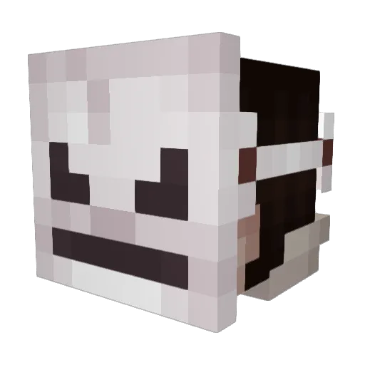 Straayyz Minecraft avatar head, 3D render