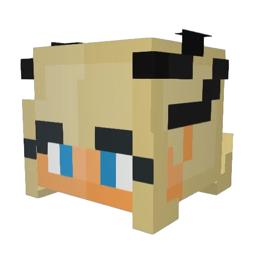 Stracity_ Minecraft avatar head, 3D render