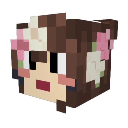 Stradam20 Minecraft avatar head, 3D render