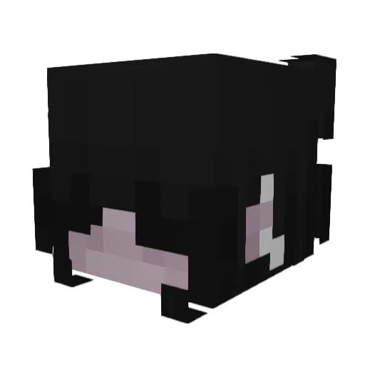 Strafblad Minecraft avatar head, 3D render