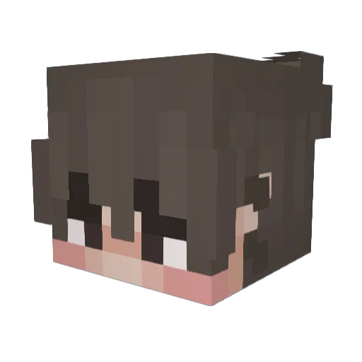 Strafts Minecraft avatar head, 3D render