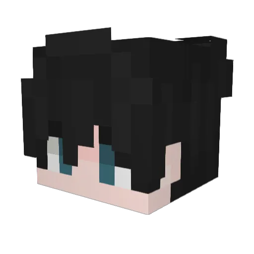 Strafverfolgung Minecraft avatar head, 3D render