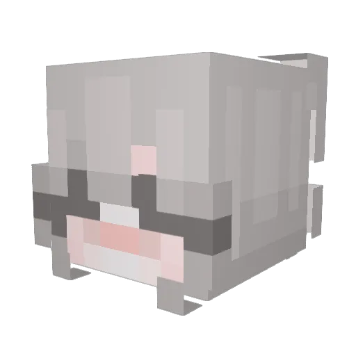 Strafye Minecraft avatar head, 3D render