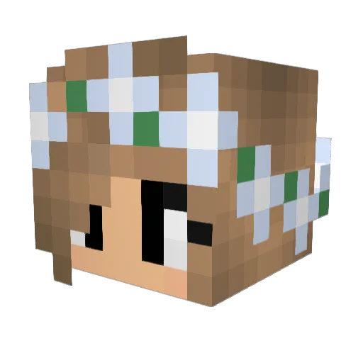 Strahl12345 Minecraft avatar head, 3D render