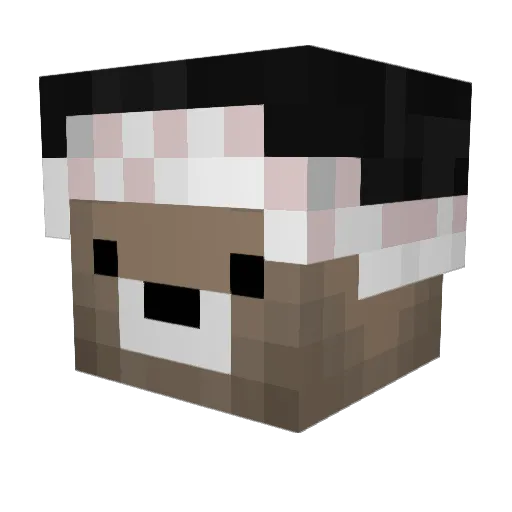 StraightFR Minecraft avatar head, 3D render