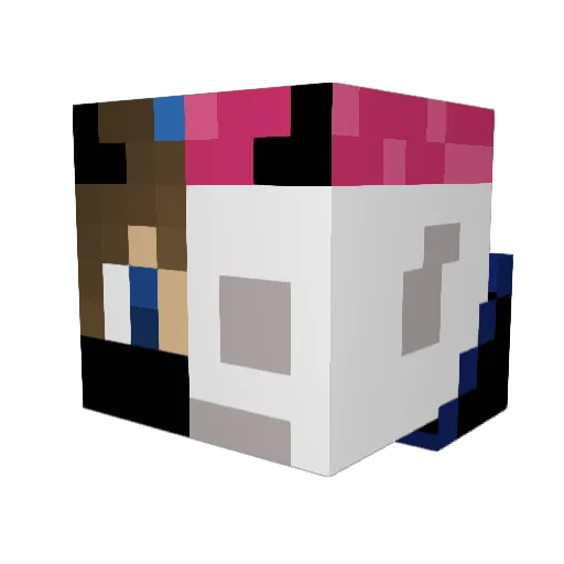 StraightTaco387 Minecraft avatar head, 3D render