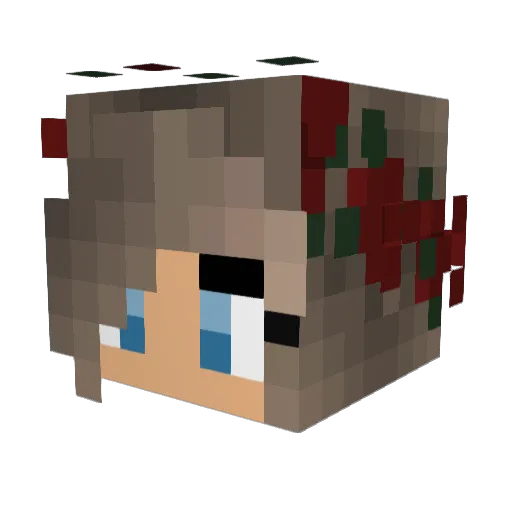 Strailight Minecraft avatar head, 3D render