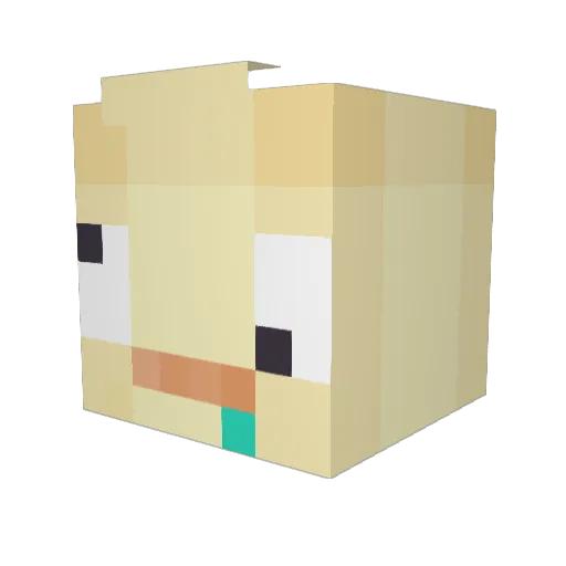 StrainedNose881 Minecraft avatar head, 3D render