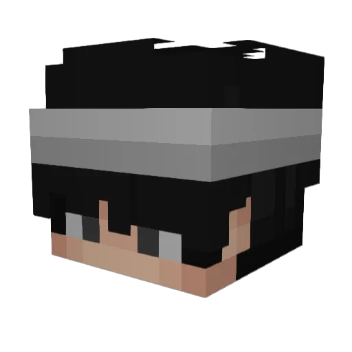 Strainer Minecraft avatar head, 3D render