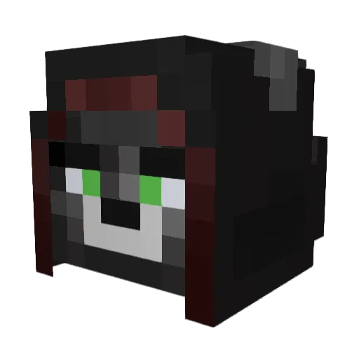 StrandedSkyblock Minecraft avatar head, 3D render