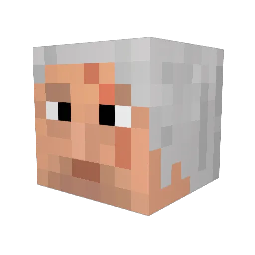 StrangeFork Minecraft avatar head, 3D render