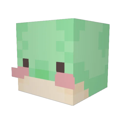 StrangeFrog5991 Minecraft avatar head, 3D render