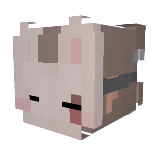 StrangeMiss_ Minecraft avatar head, 3D render