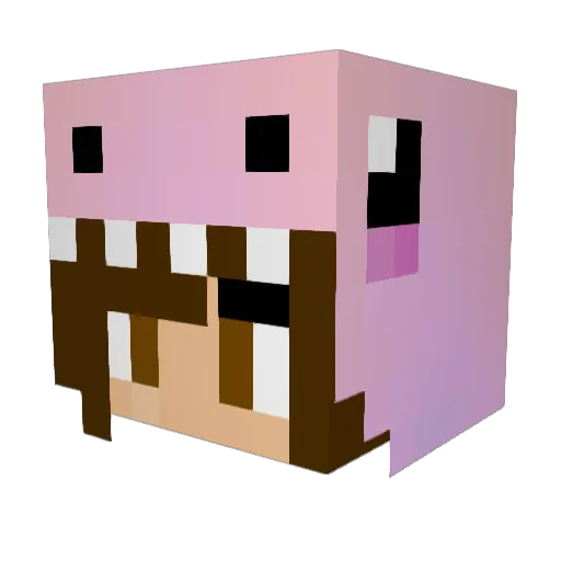 StrangeZero_ Minecraft avatar head, 3D render