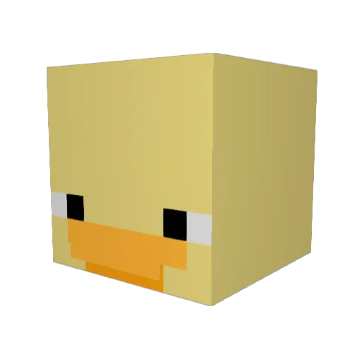Strange_Ducc Minecraft avatar head, 3D render