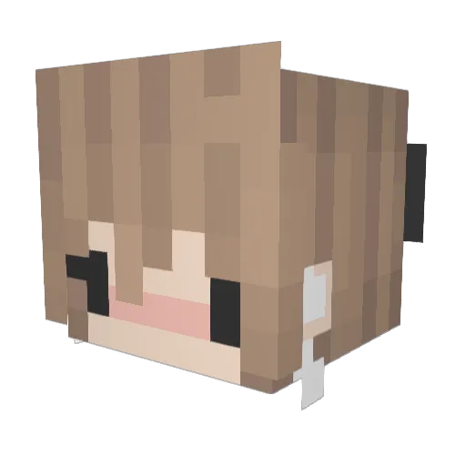 StrangelyOkay Minecraft avatar head, 3D render