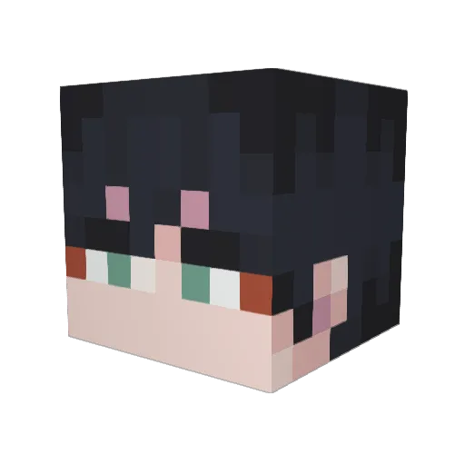 Stranger46 Minecraft avatar head, 3D render