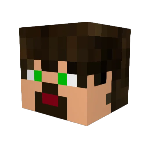 Stranger4PL Minecraft avatar head, 3D render