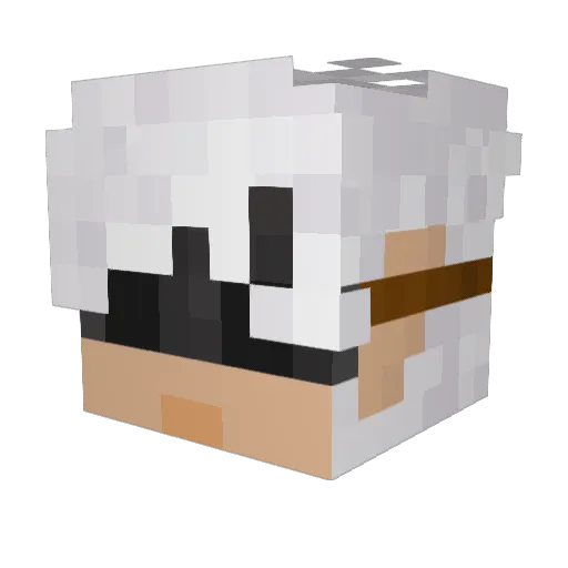 StrangerDan Minecraft avatar head, 3D render