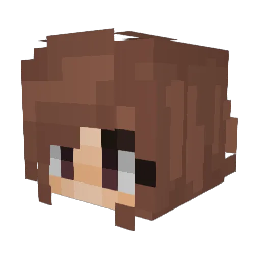 Stranger_Than_me Minecraft avatar head, 3D render
