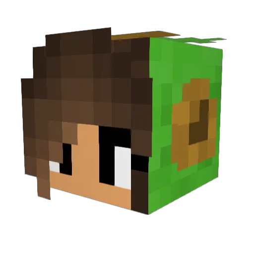 StrangersFire Minecraft avatar head, 3D render