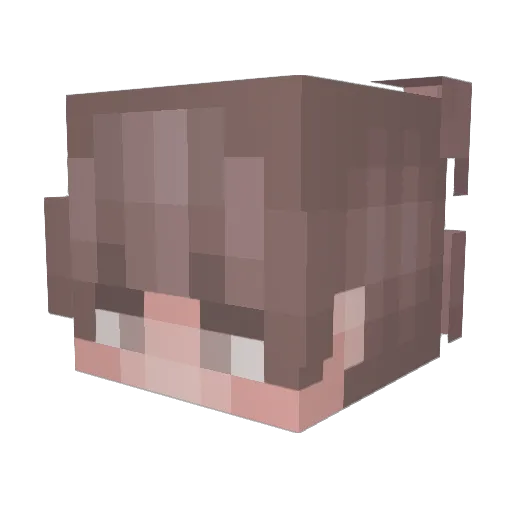Strangexs Minecraft avatar head, 3D render