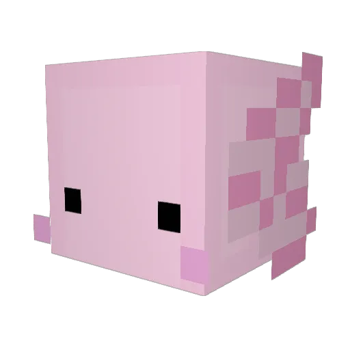 Strank_ Minecraft avatar head, 3D render