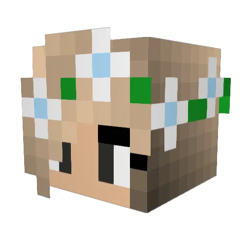 Strassel21 Minecraft avatar head, 3D render