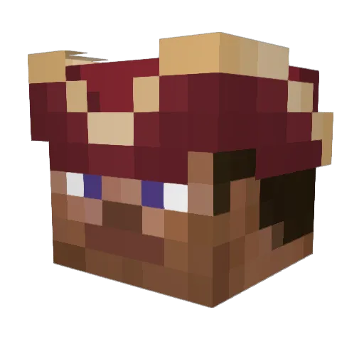 Stratus_19 Minecraft avatar head, 3D render
