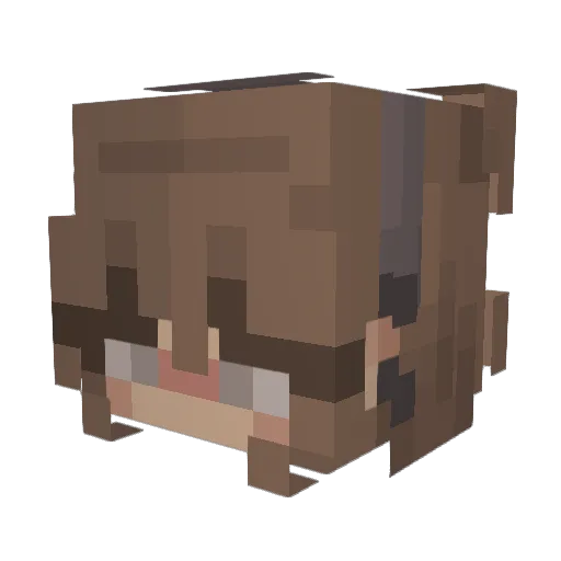 StrawBerry76231 Minecraft avatar head, 3D render