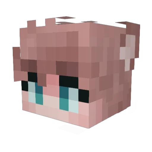 StrawbFleece Minecraft avatar head, 3D render