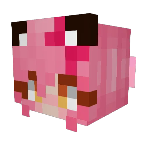 Strawberrrrryy Minecraft avatar head, 3D render