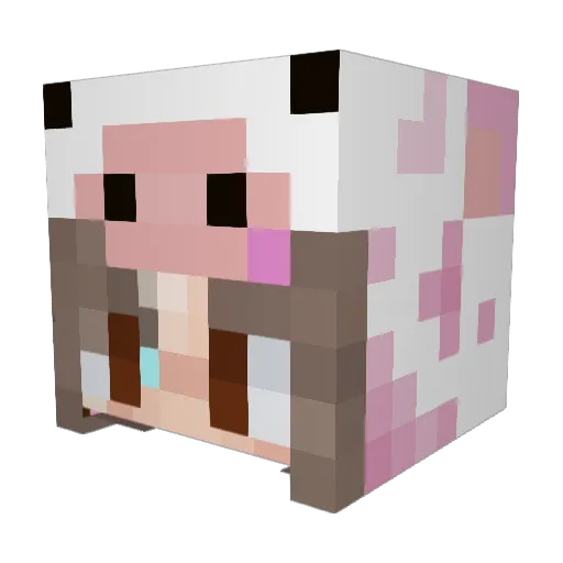 StrawberryCow113 Minecraft avatar head, 3D render