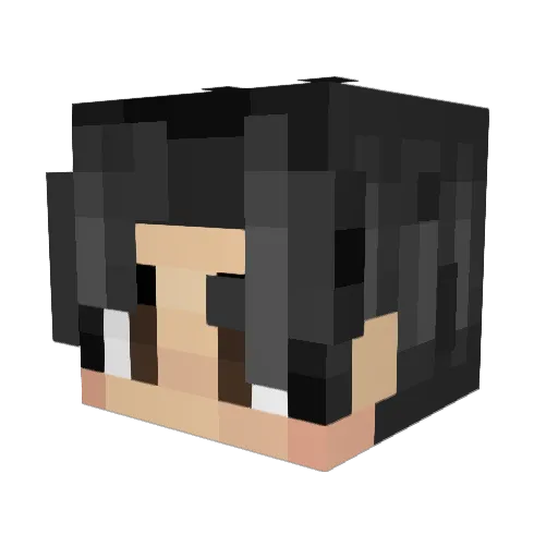 StrawberryJuice Minecraft avatar head, 3D render