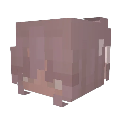 StrawberryLena Minecraft avatar head, 3D render